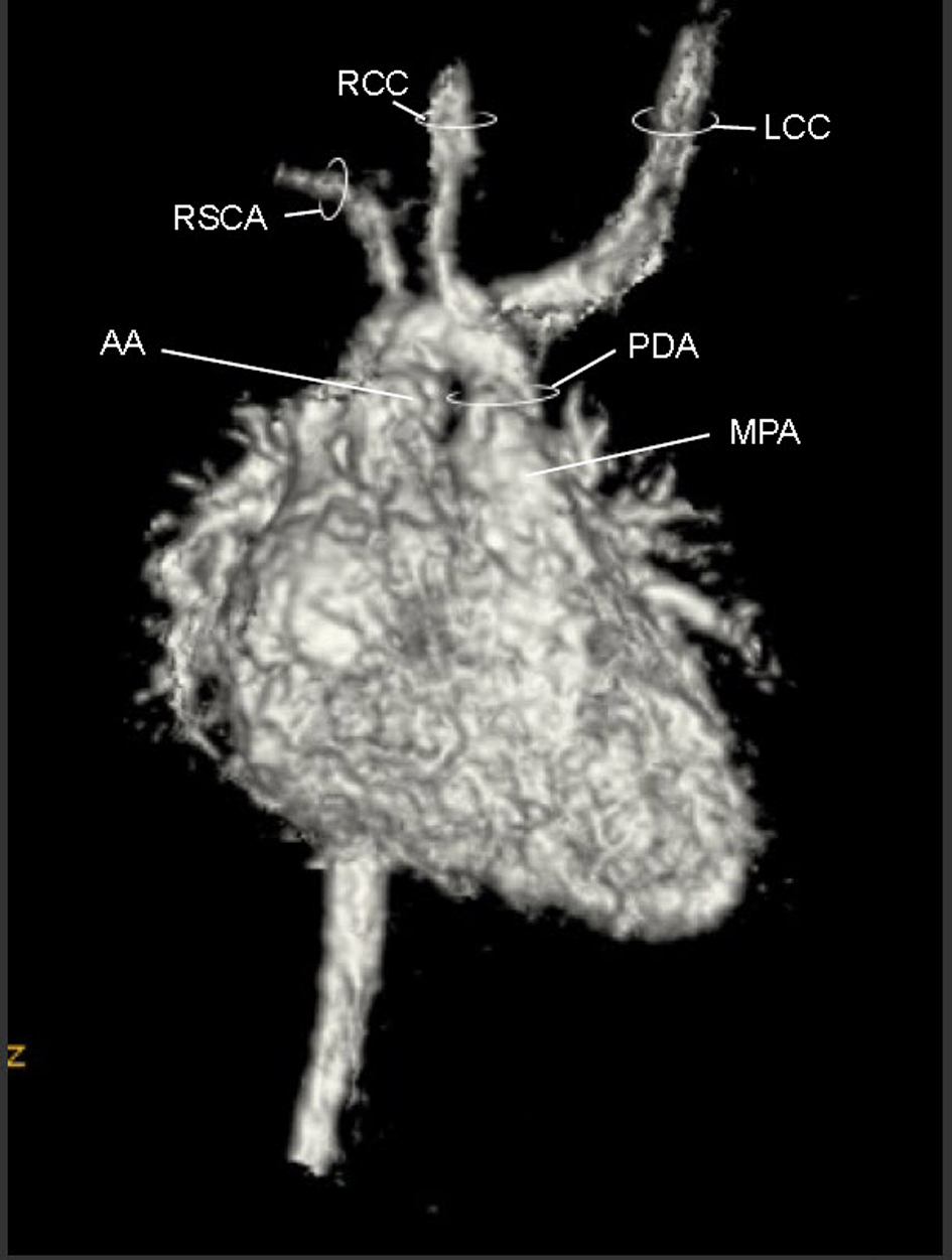 Figure 3. 