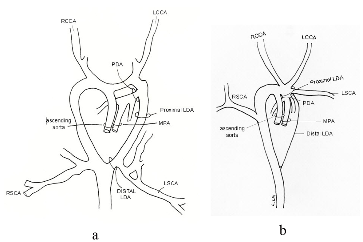 Figure 8. 