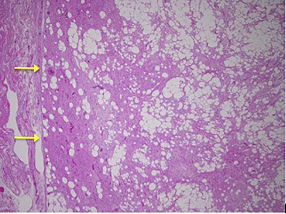 Figure 9.