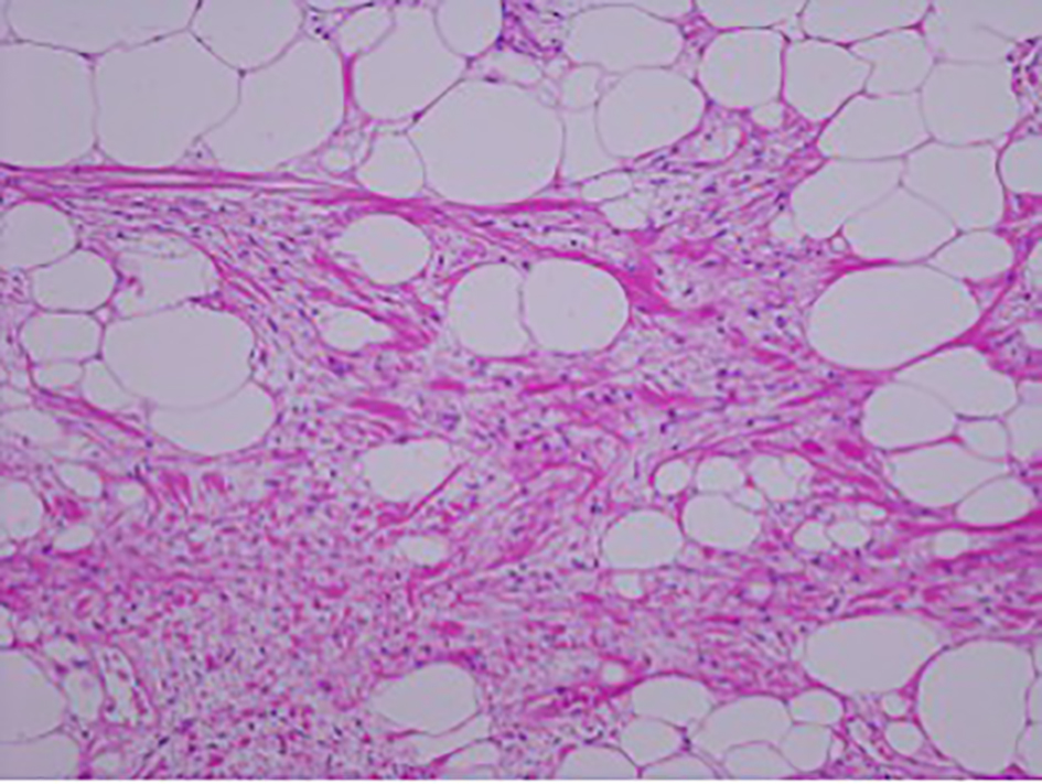 Figure 10.