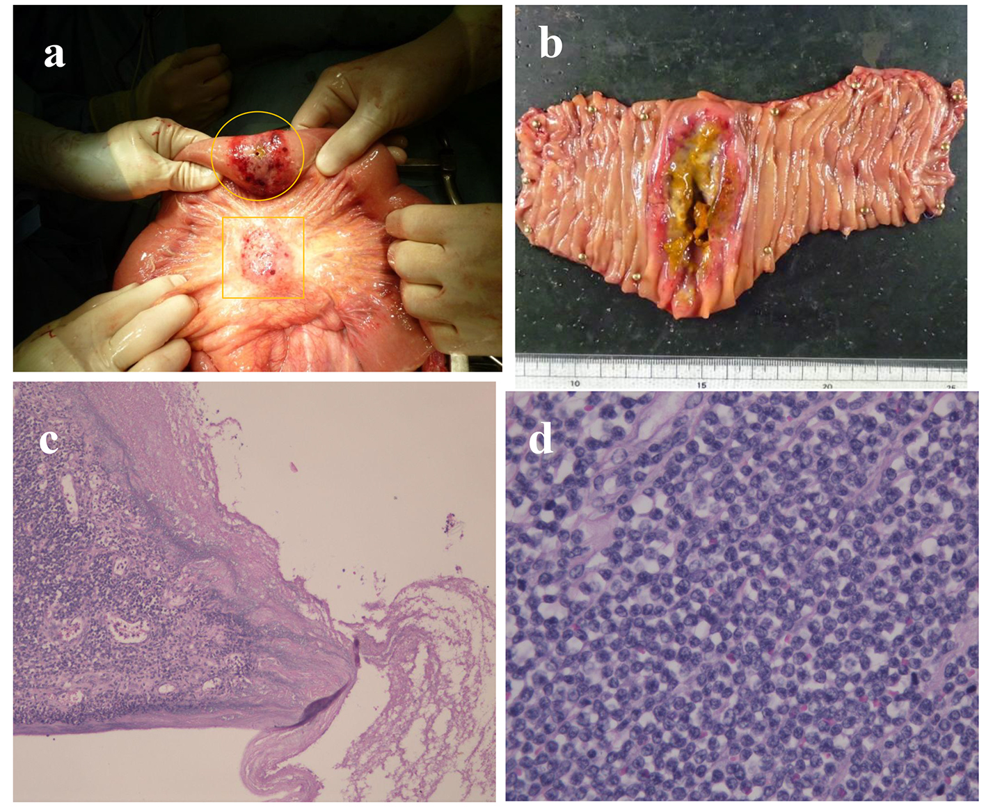 Figure 3. 