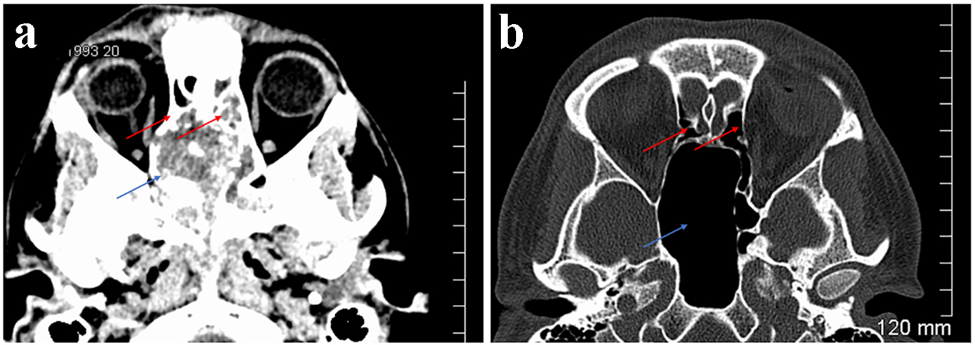 Figure 5. 