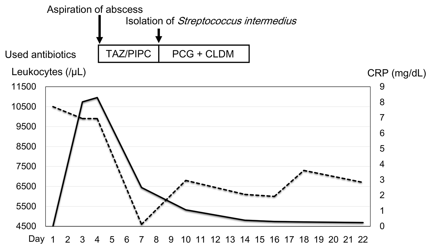 Figure 3. 