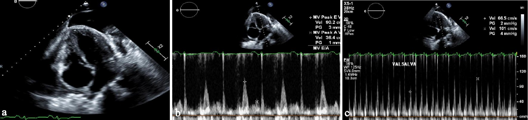 Figure 3. 