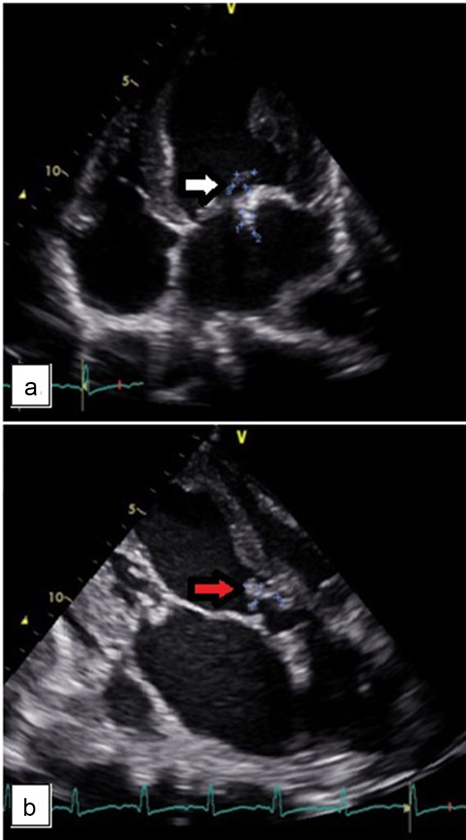 Figure 3. 