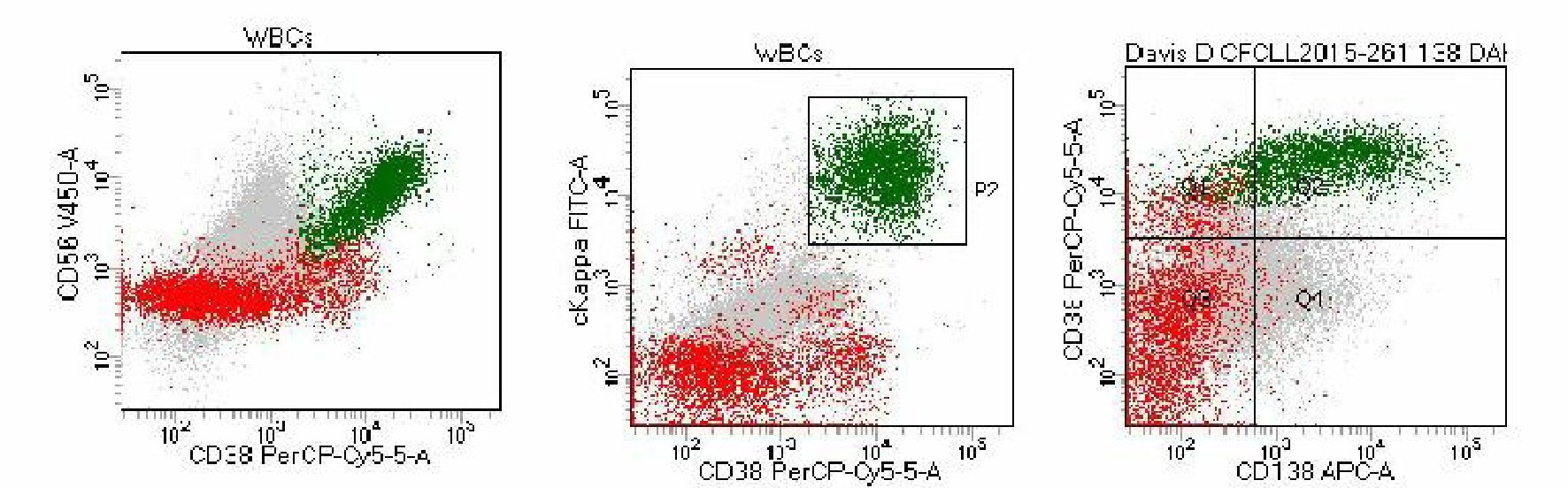 Figure 3. 