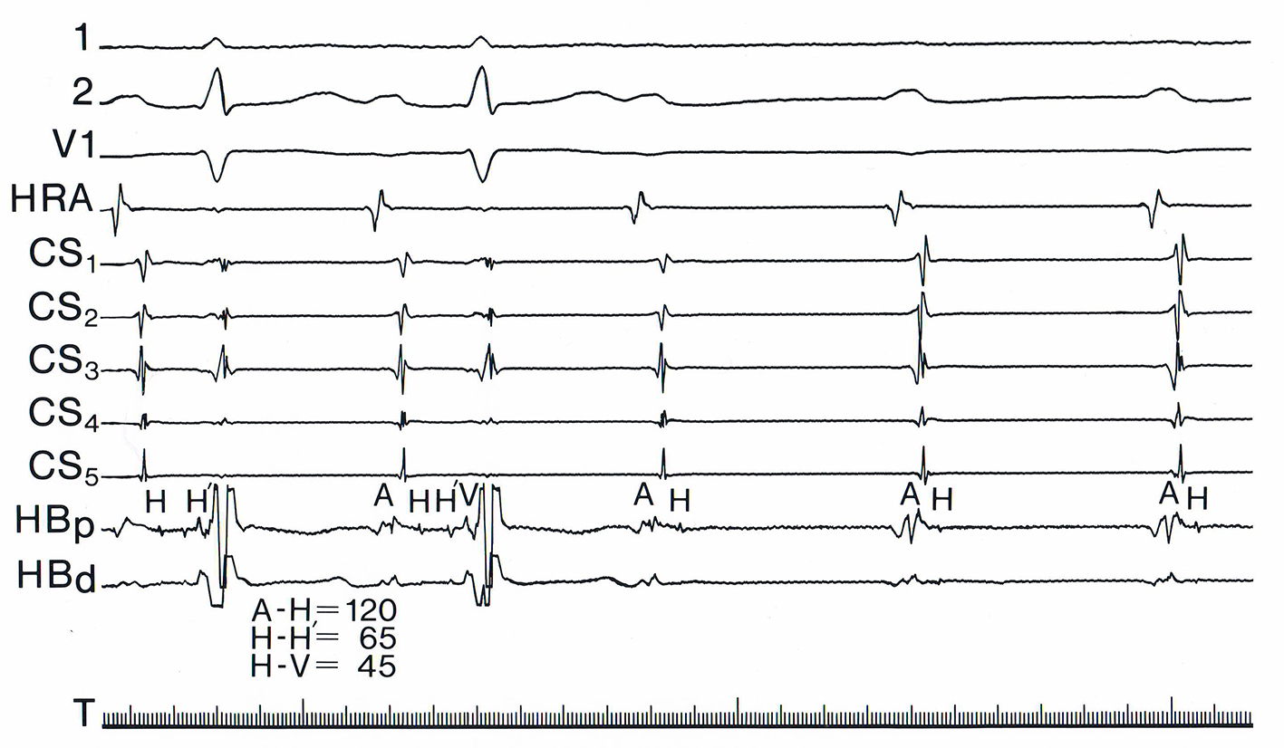 Figure 3. 