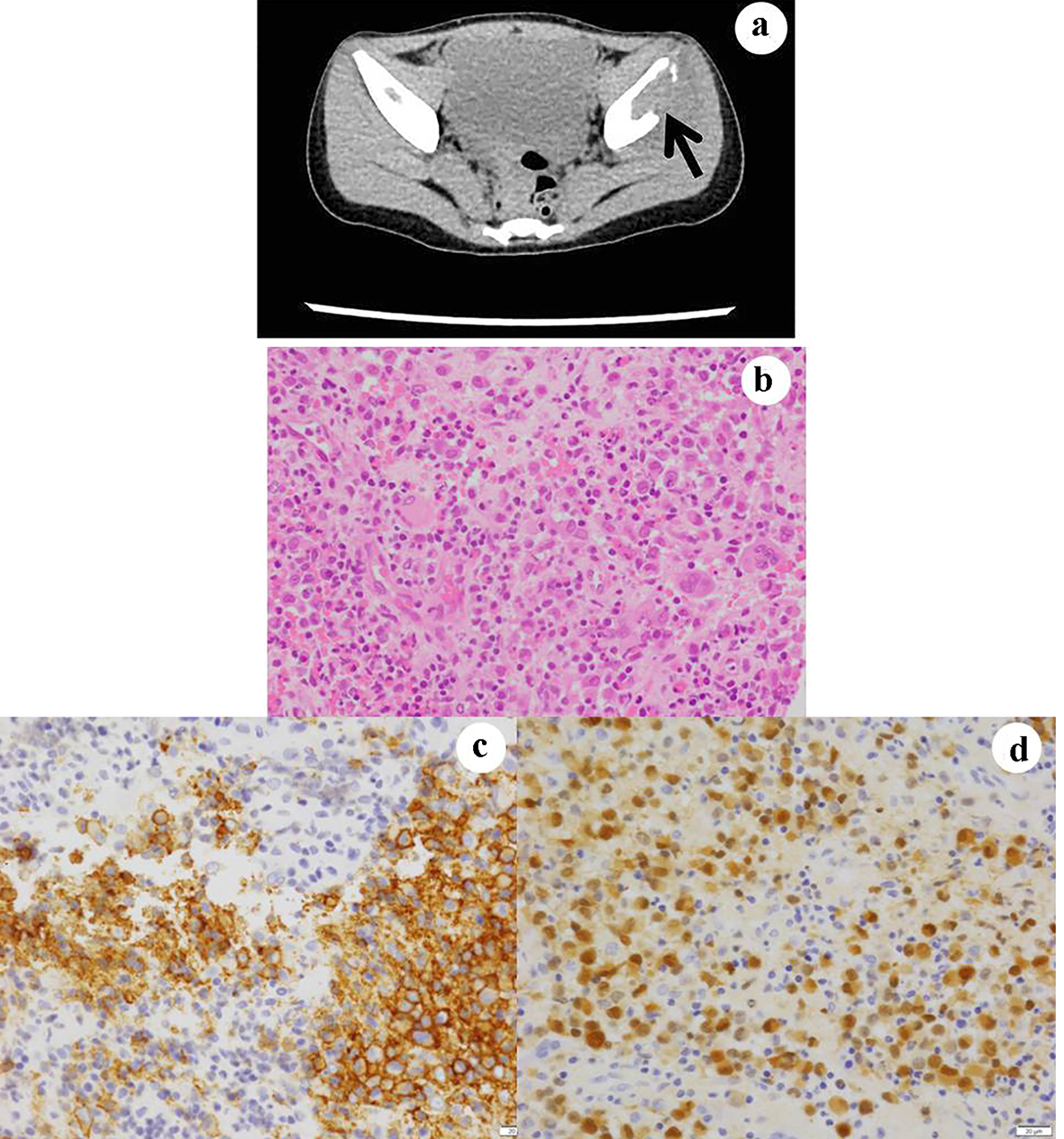 Figure 5. 