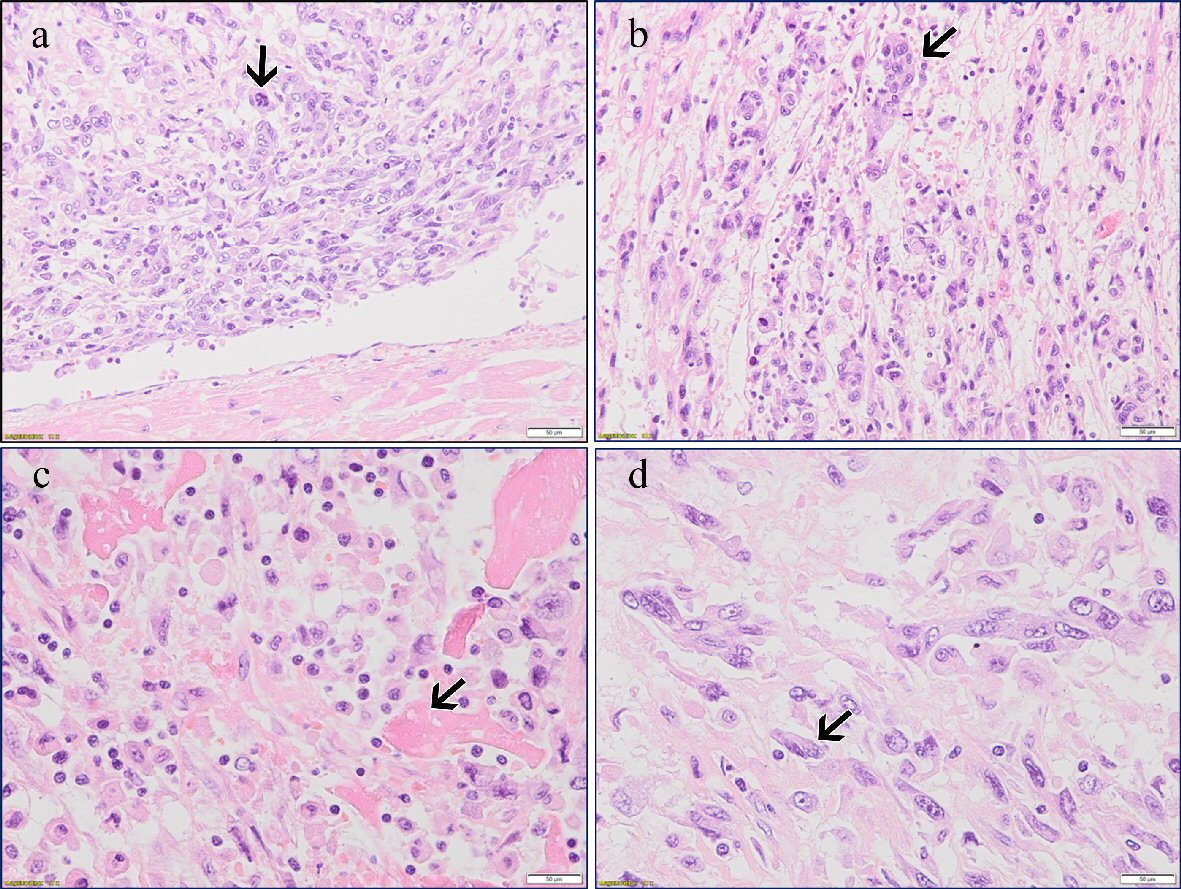 Figure 3. 