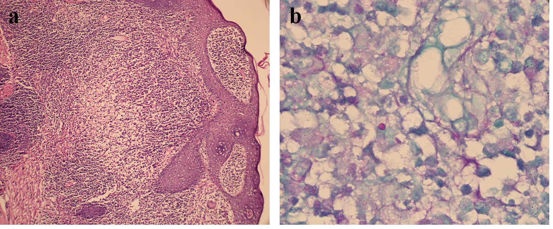 Figure 3. 