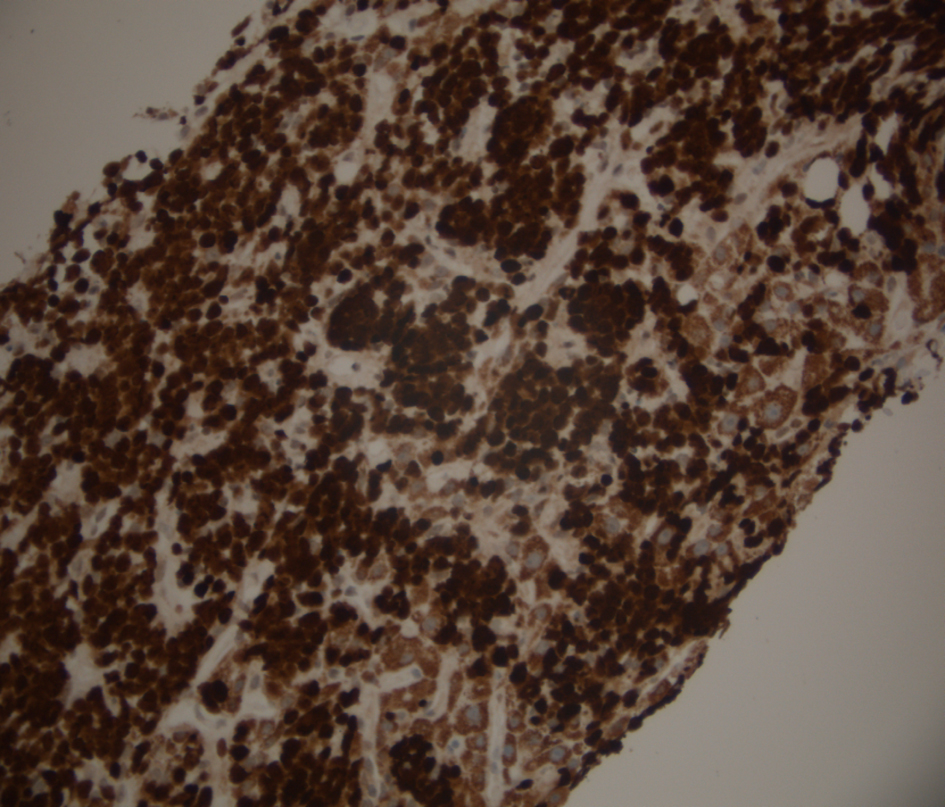 Figure 6.