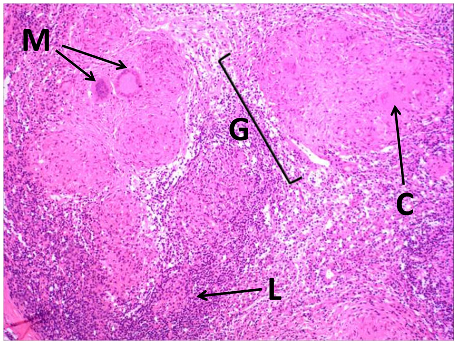 Figure 3. 