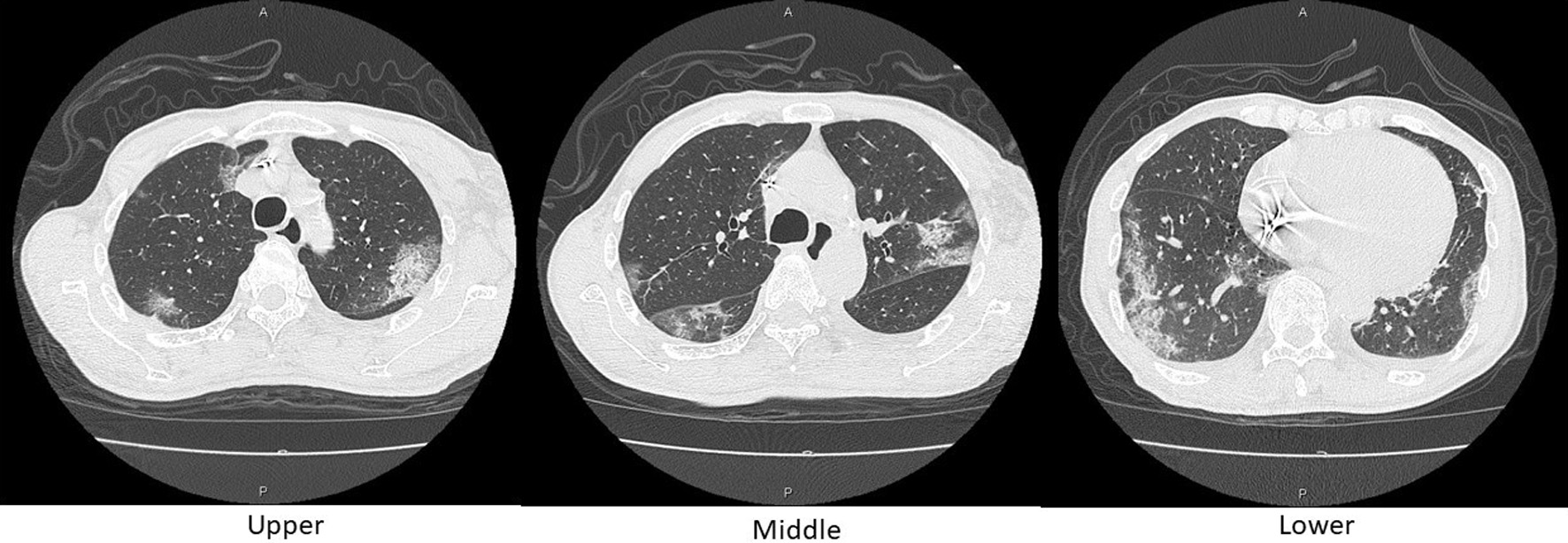 Figure 3. 