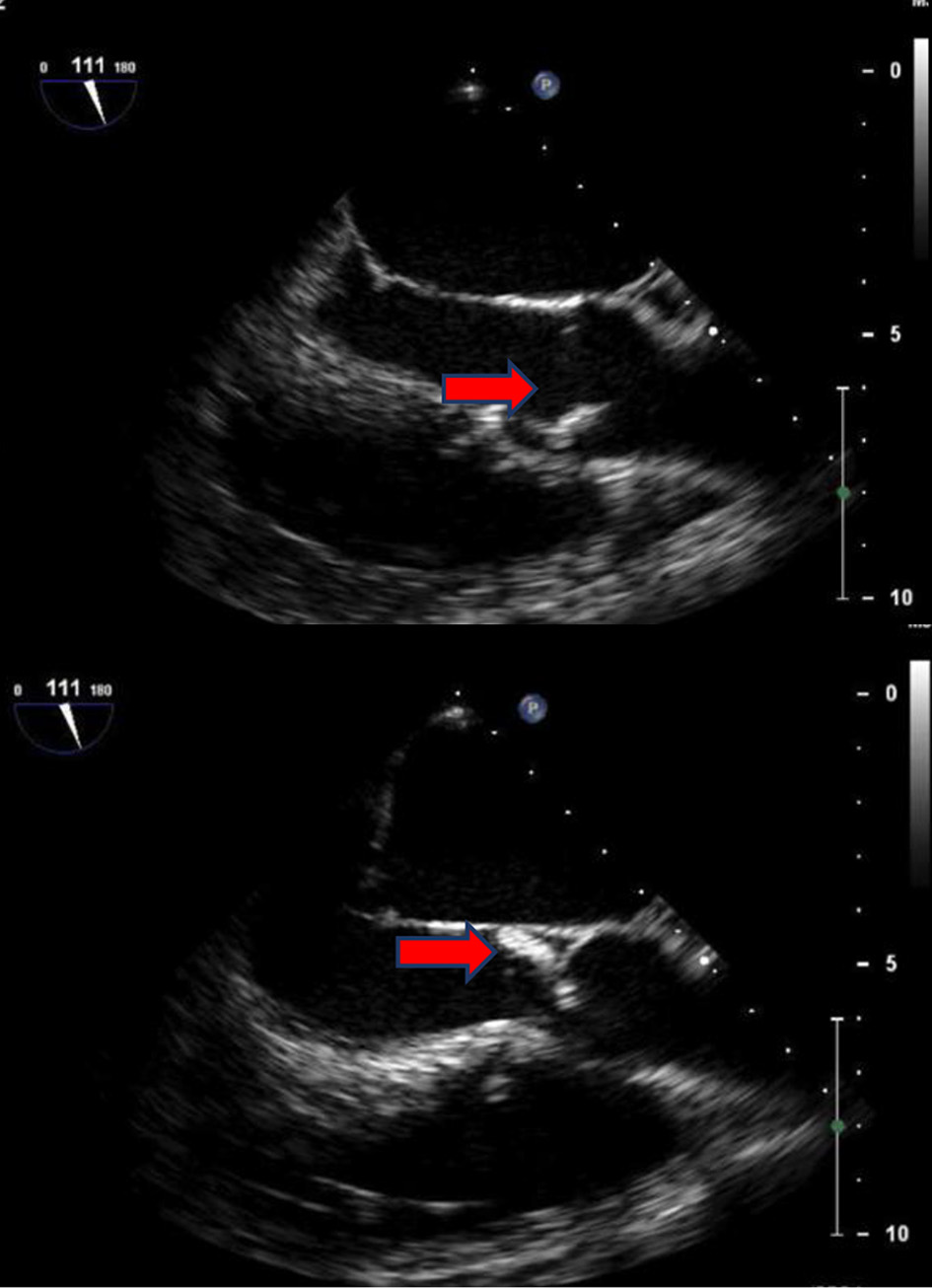 Figure 3. 