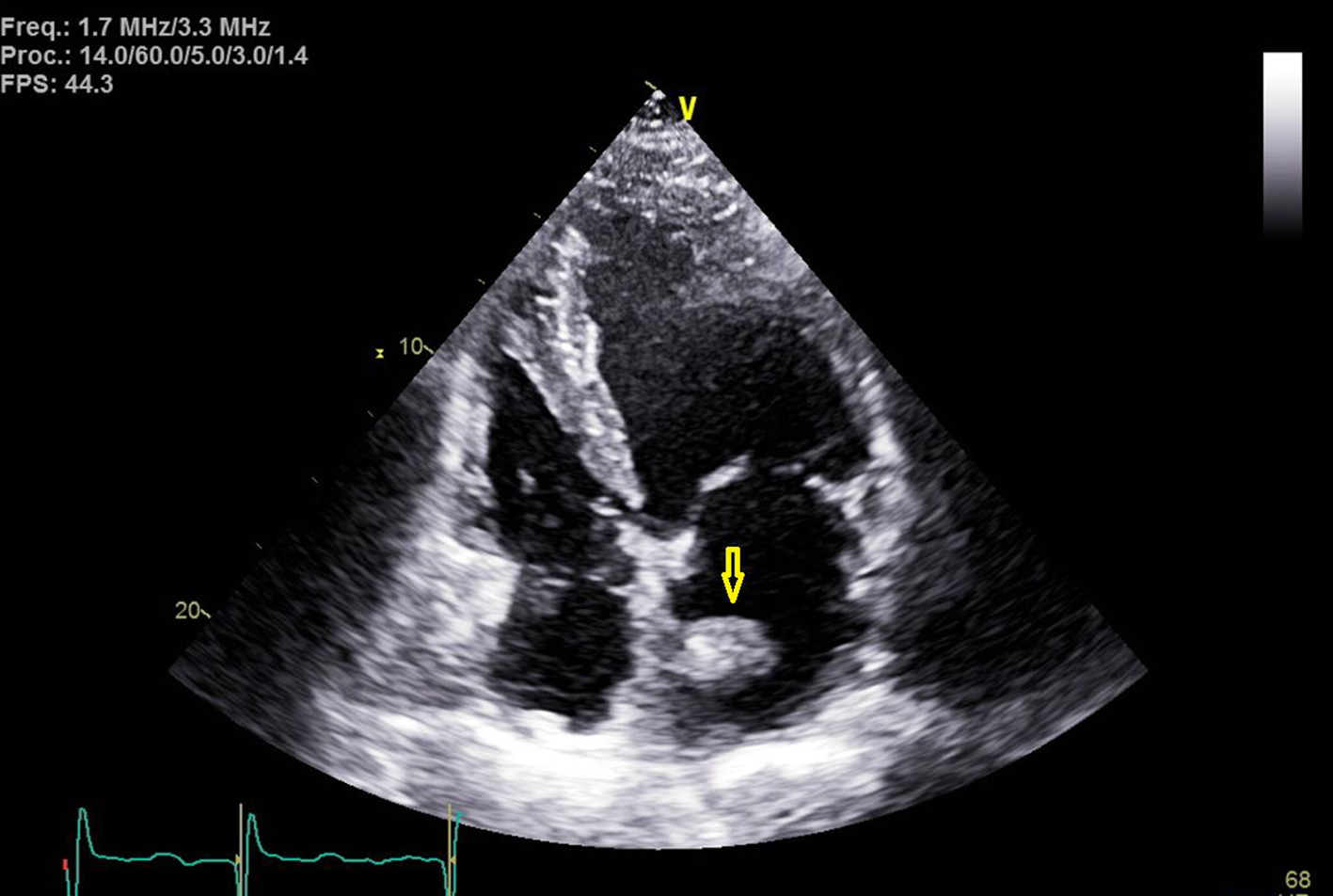 Figure 3. 