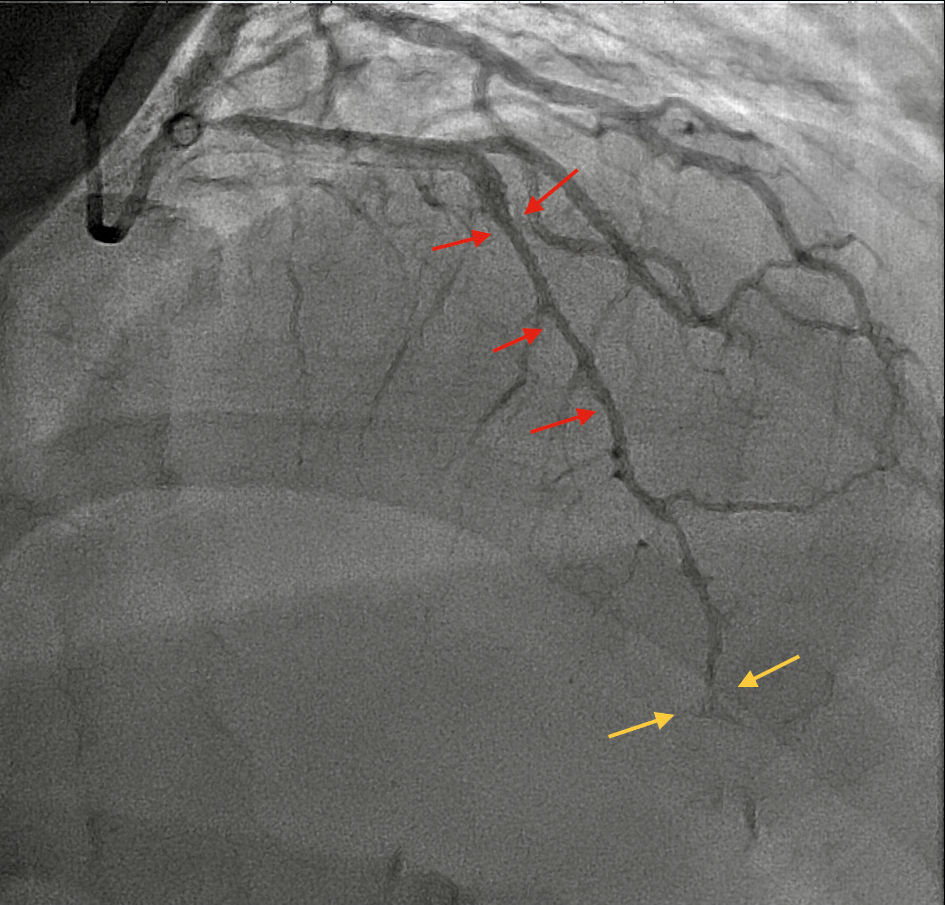 Figure 2. 