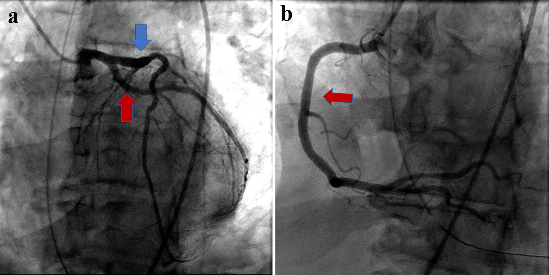 Figure 3. 