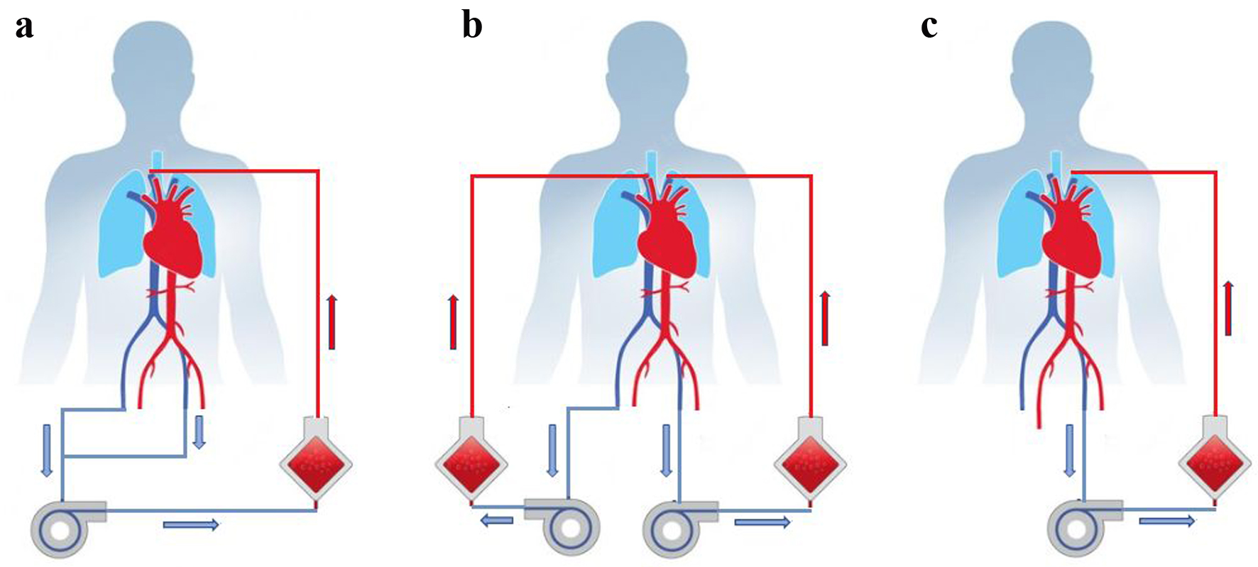 Figure 3. 