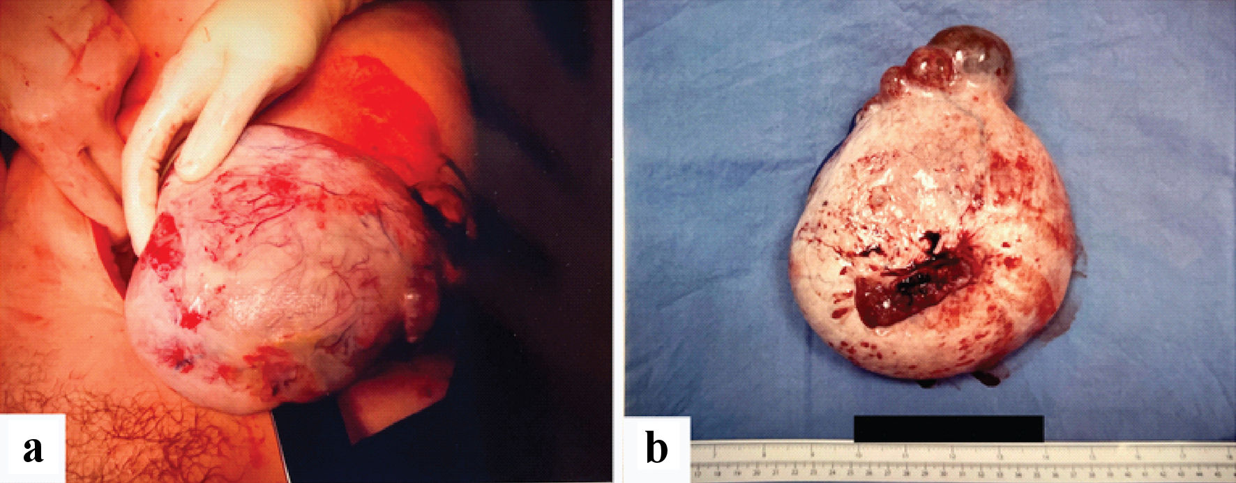 Figure 3. 