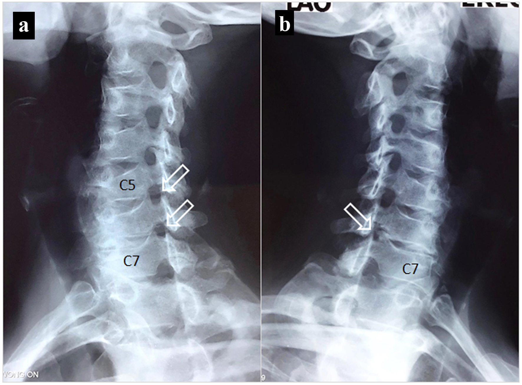Figure 3.