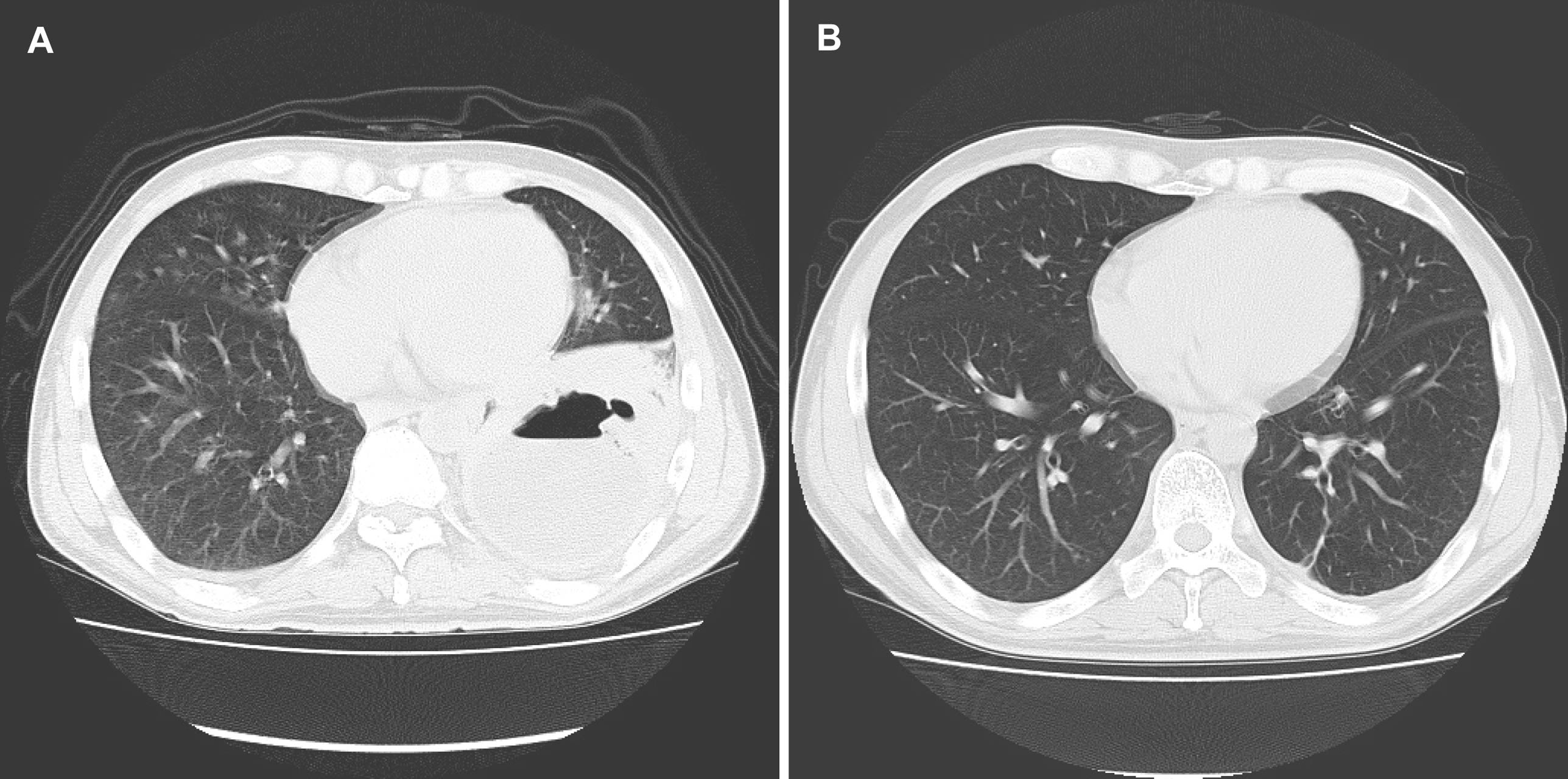 Figure 4. 