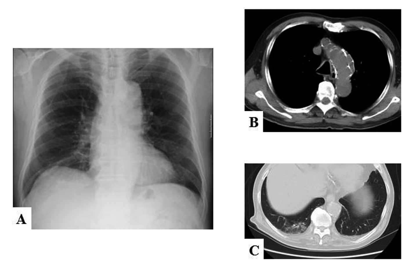 Figure 1. 